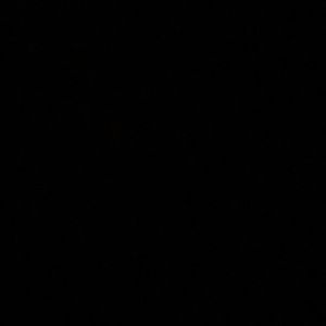 Meet your Posher, Timothy